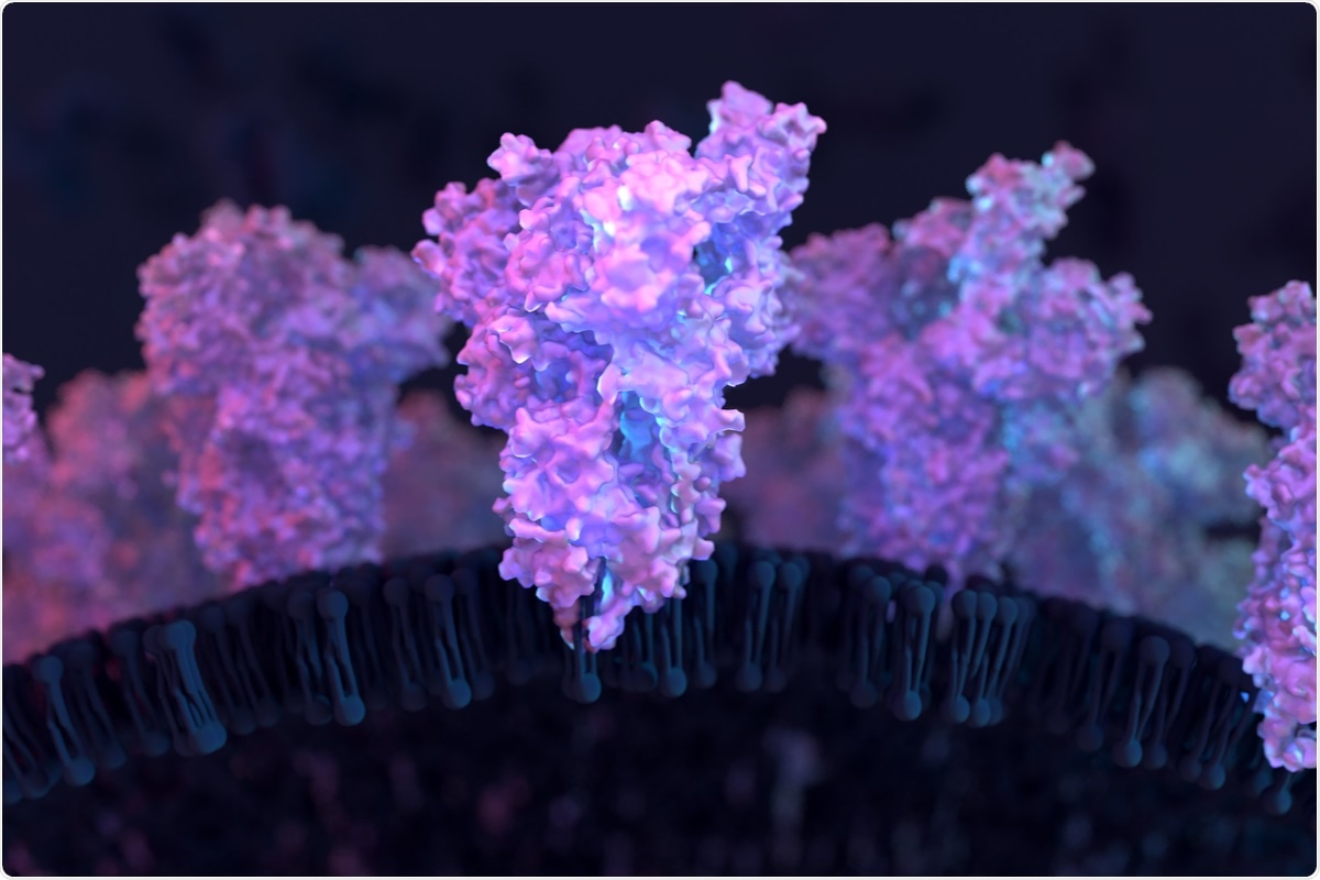 Study: Effect of natural mutations of SARS-CoV-2 on spike structure, conformation and antigenicity. Image Credit: Design_Cells / Shutterstock