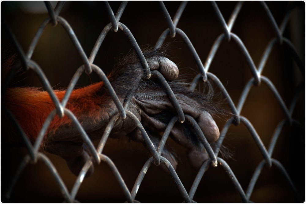 Illegal Wildlife Trade