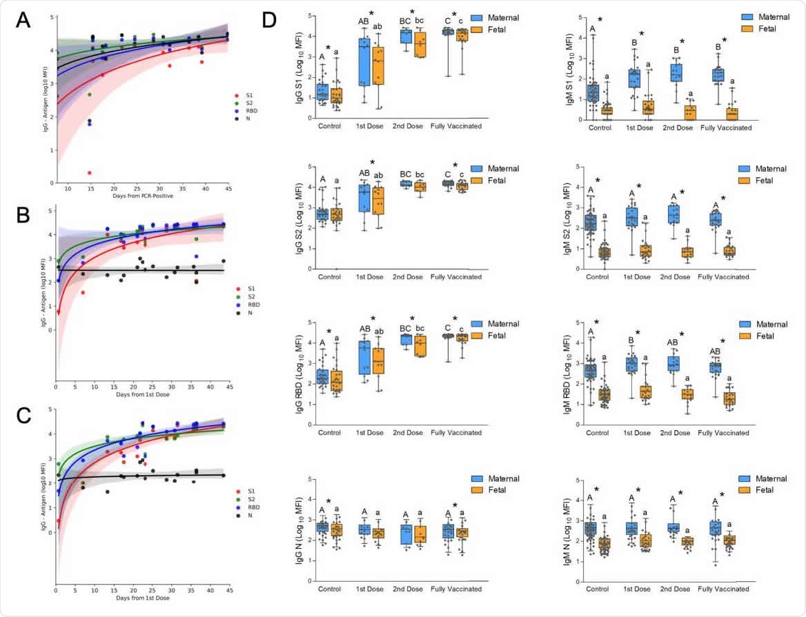 Temporal changes of the acute immune response to SARS-Cov2 infection and to vaccination in pregnancy. (A) Analysis of the change in maternal IgG during the first 50 days after positive RT-PCR, derived from the GA of positivity and the GA of delivery (see the full timeline data for immune response across pregnancy in Figure 1). (B) Analysis of maternal IgG response to BNT162b2 vaccination derived from the GA of the first vaccine and the GA of delivery. A second dose was administered on Day 21. . (C) Analysis of the temporal changes of fetal IgG following BNT162b2 vaccination derived from the GA of the first vaccine and the GA of delivery. A second dose was administered on Day 21; shaded areas in (A), (B) and (C) show the 95% confidence interval (D) Serological data of maternal-fetal pairs was derived from control, unvaccinated serologically negative (N-) mothers; as well as vaccinated mothers grouped for deliveries in the first 3 weeks after the 1st vaccine; deliveries during the first week after the 2nd vaccine; and fully vaccinated who delivered more than a week after the second vaccine. Left columns, IgG; right columns, IgM; from top to bottom, serological response to S1, S2, RBD, and N. Statistical significance: A,B,C above the blue bars indicate significant differences among the groups in maternal antibodies, while a,b,c above the orange bars indicate significant differences among the groups in fetal antibodies (Kruskall–Wallis one-way ANOVA test, following by Dunn