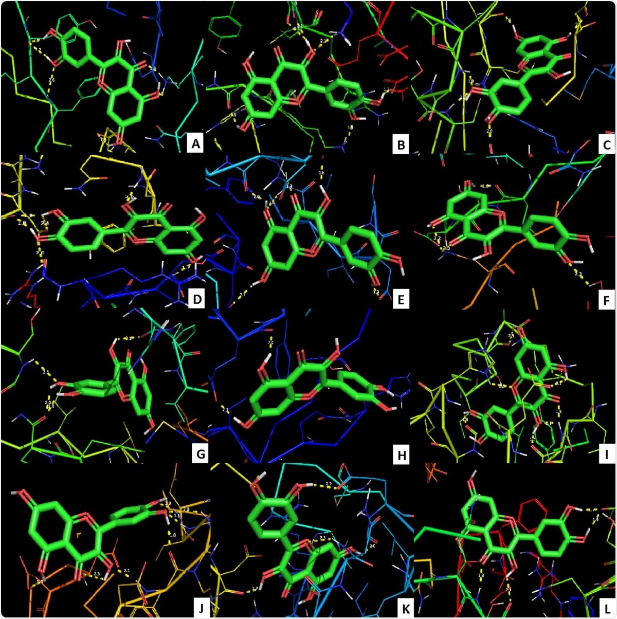Molecular docking of key proteins with quercetin. a 2019-nCoV main protease (PDB ID: 6LU7). b 2019-nCoV main protease (PDB ID: 6Y84). c 2019-nCoV main protease (PDB ID: 6YB7). d 2019-nCoV receptor-binding domain of the surface spike glycoprotein (PDB ID: 6M17). e 2019-nCoV spike glycoprotein (PDB ID: 6VXX). f 2019-nCoV RNA replicase enzyme (PDB ID: 6W9Q). g 2019-nCoV RNA-binding protein (PDB ID: 6W4B). h 2019-nCoV papain-like protease (PDB ID: 6W9C). i SARS coronavirus papain-like protease/ deubiquitinase (PDB ID: 3E9S). j 2019-nCoV RNA-dependent RNA polymerase (PDB ID: 7BTF). k SARS coronavirus main peptidase (PDB ID: 2A5I). l SARS coronavirus main peptidase with an additional Ala at the N-terminus of each protomer (PDB ID: 2GTB)
