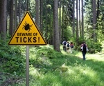 Study observes increase in Lyme disease-causing ticks across California’s woodlands and beaches