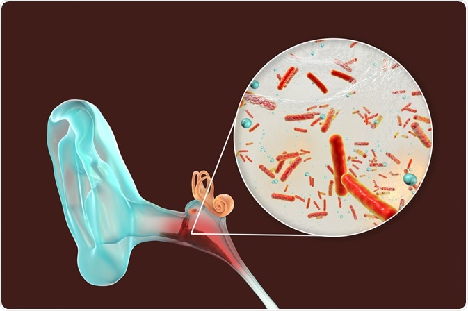 Image Credit: Kateryna Kon / Shutterstock