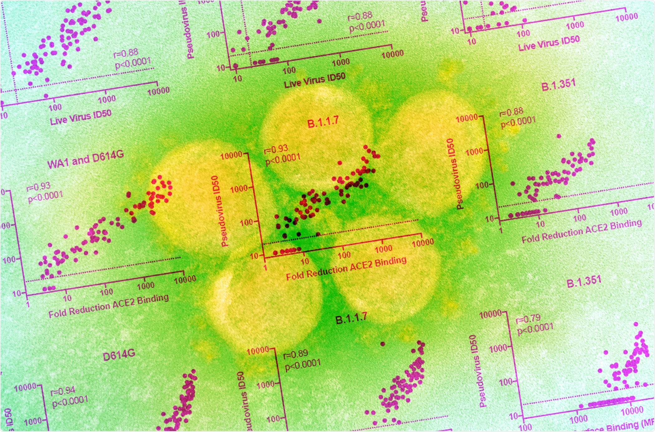 Study: Durability of mRNA-1273-induced antibodies against SARS-CoV-2 variants
