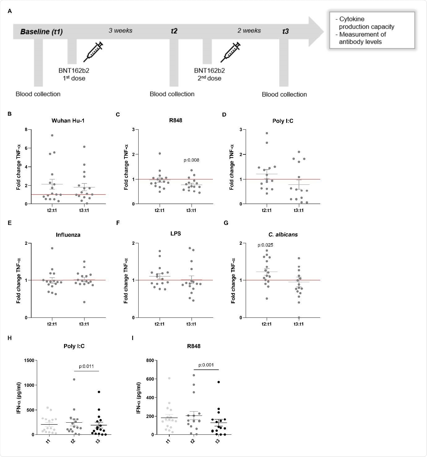 TNF-α and IFN-α production in response to heterologous stimuli in PBMCs isolated from vaccinated subjects. (A) Description of the study: vaccination and blood collection days. (B-G) Fold change values of TNF-α production are calculated individually for each subject by division of t2:t1 and t3:t1. Data are presented as fold changes ± SEM (n=15-16) and analysed by Wilcoxon’s matched-pairs signed-rank test comparing each ratio to