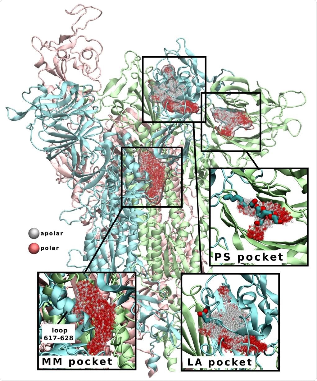 S protein cryptic pockets revealed during simulations in the presence of benzene. Linoleic acid (LA) and polysorbate (PS) pockets are named according to their bound ligands (shown in licorice representation in insets), as their binding sites have previously been identified by cryo-EM. Multimerization (MM) pocket is a surface groove that extends down the interchain interface and underneath the 617-628 loop (labeled in inset). Pockets are shown as clusters of grey (apolar) and red (polar) spheres.
