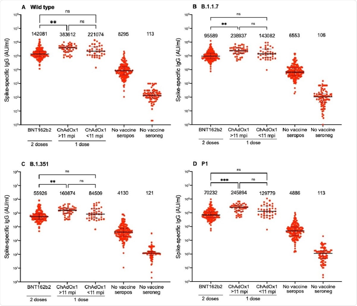 Spike-specific IgG responses against SARS-CoV-2 wild type and variants following two doses BNT162b2 in individuals with or without previous SARS-CoV-2 infection or one dose ChAdOx1 nCoV-19 vaccine in individuals with previous SARS-CoV-2 infection. A) Spike-specific IgG responses against wild type (A), B.1.1.7 (B), B.1.351 (C) and P1 (D). Numbers above each cluster indicate median AU/ml. Lines indicate medians with interquartile ranges. AU; arbitrary units, mpi; months post infection, ns; non-significant, *; p<0.05, **; p<0,01 ***; p<0.001, ****; p<0.0001.