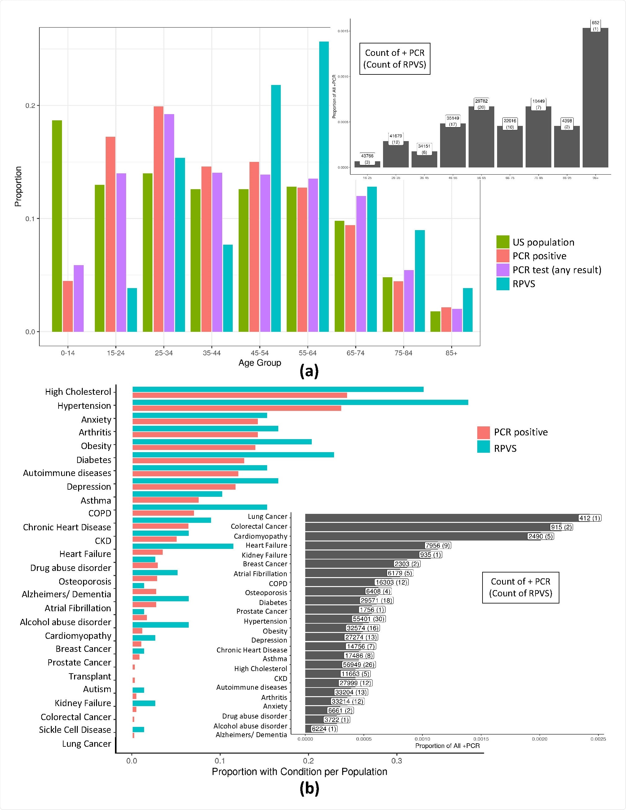 a) A normalized histogram of the US population, all those with a PCR test result in our database, those with a positive PCR test result, and suspected reinfection or prolonged viral shedding cases across patient age. For RPVS patients the median age is 56, and average is 54.65. In particular, 75% of cases are from age group above 44 suggesting a possible increased susceptibility to an RPVS state with age. Of note, this advanced age is not due to an ascertainment bias due to testing frequency with age since the highest group for per capita testing is aged 25-34. Further, RT-PCR positive cases (median = 42, average = 43.46) is shifted towards the younger ages relative to the putative RPVS cases. Further, the inset shows RPVS cases normalized by PCR positive cases in each age group. b) Histogram of comorbid conditions of those with COVID-19 (PCR positive) and RPVS patients. Again, the inset shows RPVS cases normalized by PCR positive cases for each comorbid condition