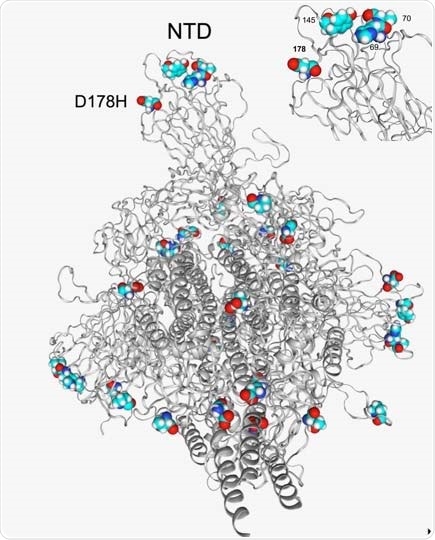 Structural location of the D178H and other spike p 333 rotein mutations in the B.1.1.7 lineage. D178H is in close proximity to other amino acids in the NTD that are affected in the B.1.1.7 lineage, HV69-70del and Y144/Y145del (top right).