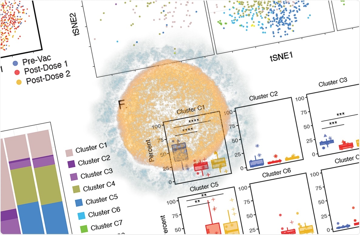 Study: mRNA vaccine-induced SARS-CoV-2-specific T cells recognize B.1.1.7 and B.1.351 variants but differ in longevity and homing properties depending on prior infection status. Image Credit: NIAID
