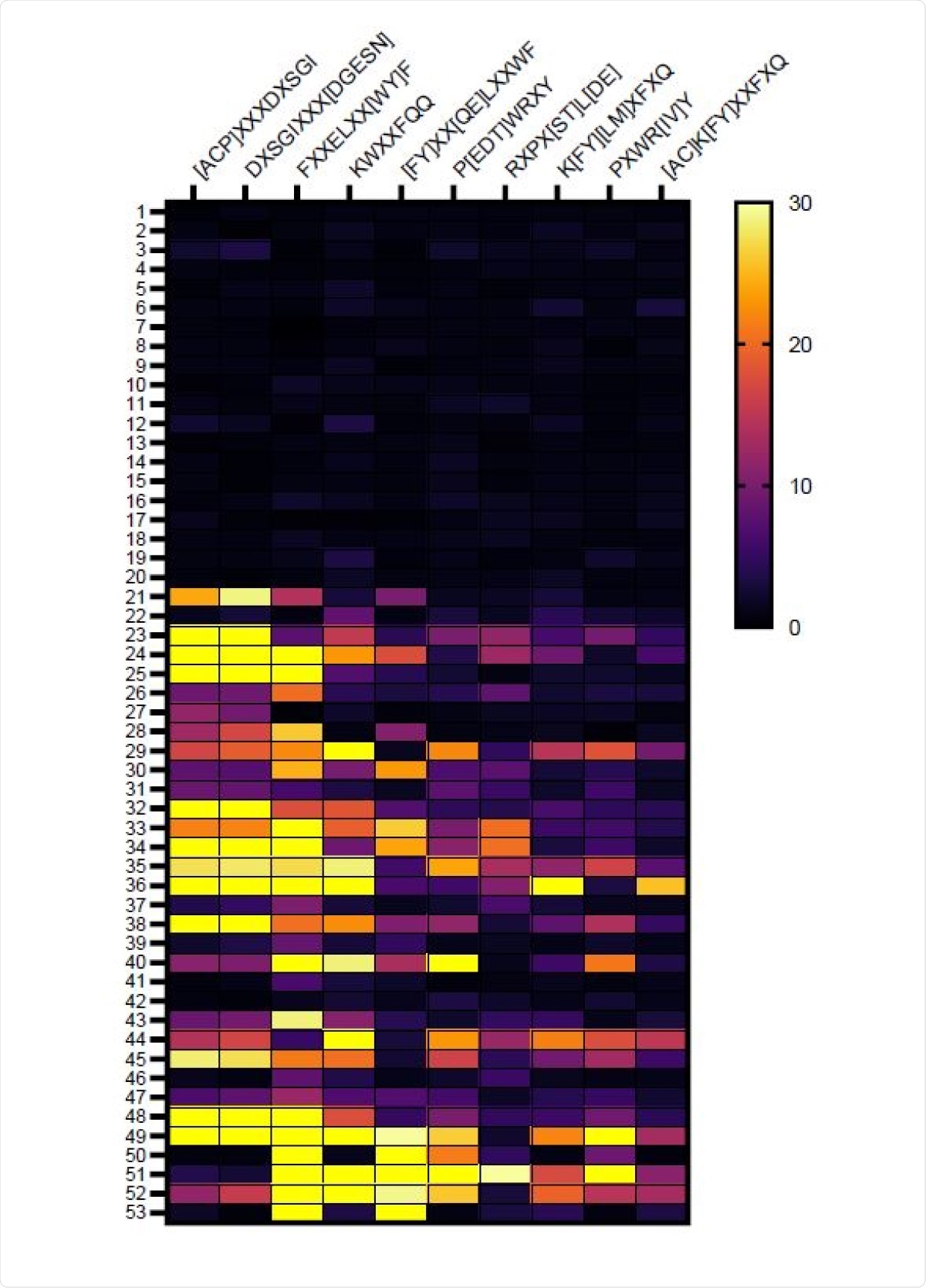 Heat map identifying amino acid motifs preferentially recognized by IgG from vaccinated subjects. Amino acid motifs were identified among the peptides immunoprecipitated by IgG from vaccine recipients using IMUNE algorithm and the level of enrichment (fold increase) in serum of individual subjects relative to pre-pandemic control subjects is depicted in the heat map. Samples 1-20 are pre-vaccine and samples 21-40 are the same subjects after Pfizer-BioNTech COVID-19 mRNA vaccination. Subjects 41-48 are from subjects that received Moderna vaccine. Samples 49-53 are vaccinated subjects that previously had COVID-19.