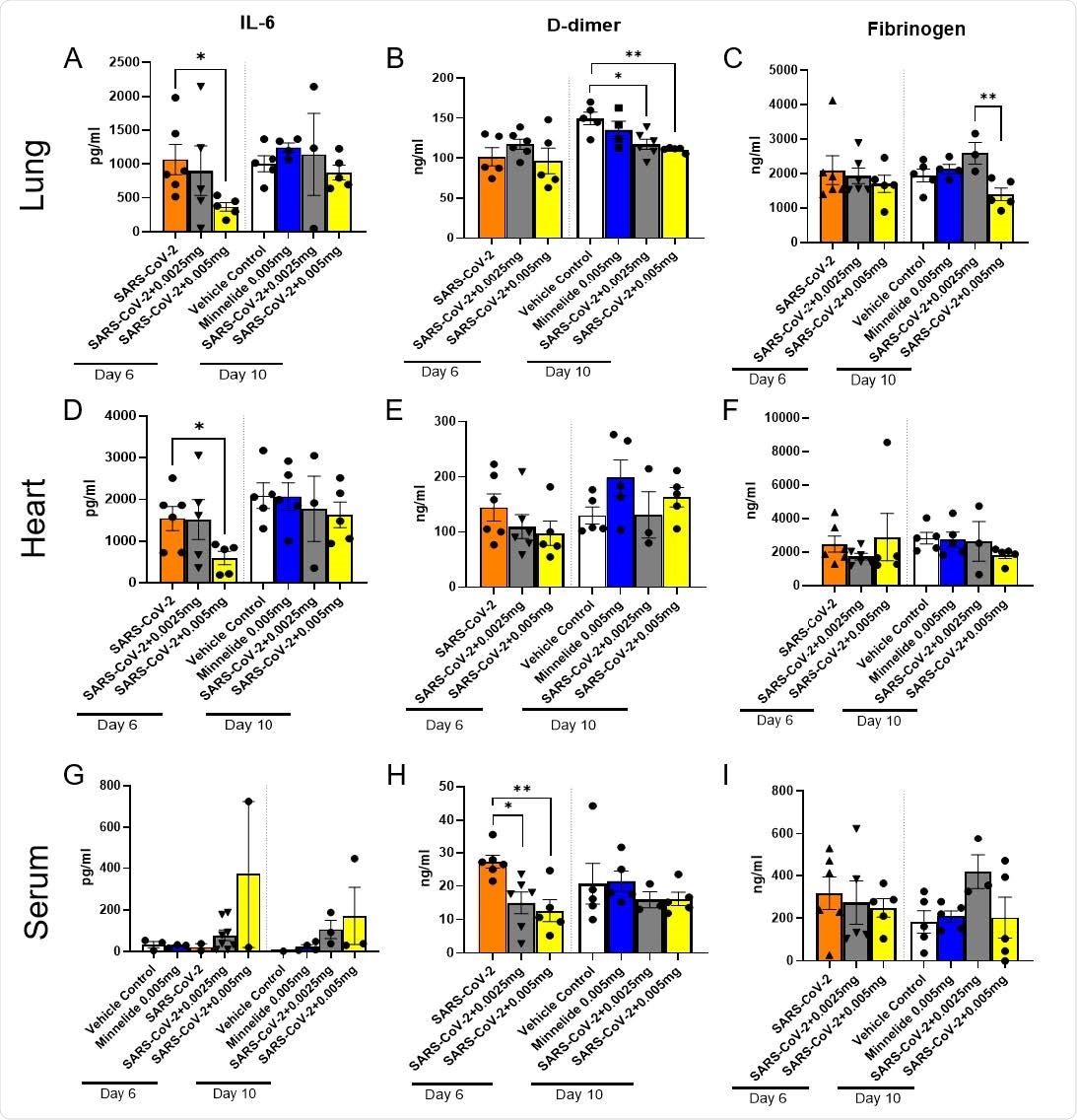 Pulmonary Cytokine Milieu in SARS-CoV-2 Infected Mice Treated with Minnelide. K18-hACE2 mice received an intranasal infection with 2000 PFU of SARS-CoV-2 and were treated daily with either low dose (0.0025mg) or high dose (0.005mg) of Minnelide. At days 6 and 10 post infection, lung (A-C) and heart (B-F) were excised, homogenized, and supernatant collected along with serum (G-I) for cytokine analysis. Cytokine data is cumulative of one experiment using 5-6 mice per group per time point. Significance was tested by one-way ANOVA. * p < 0.05 and ** p < 0.001.