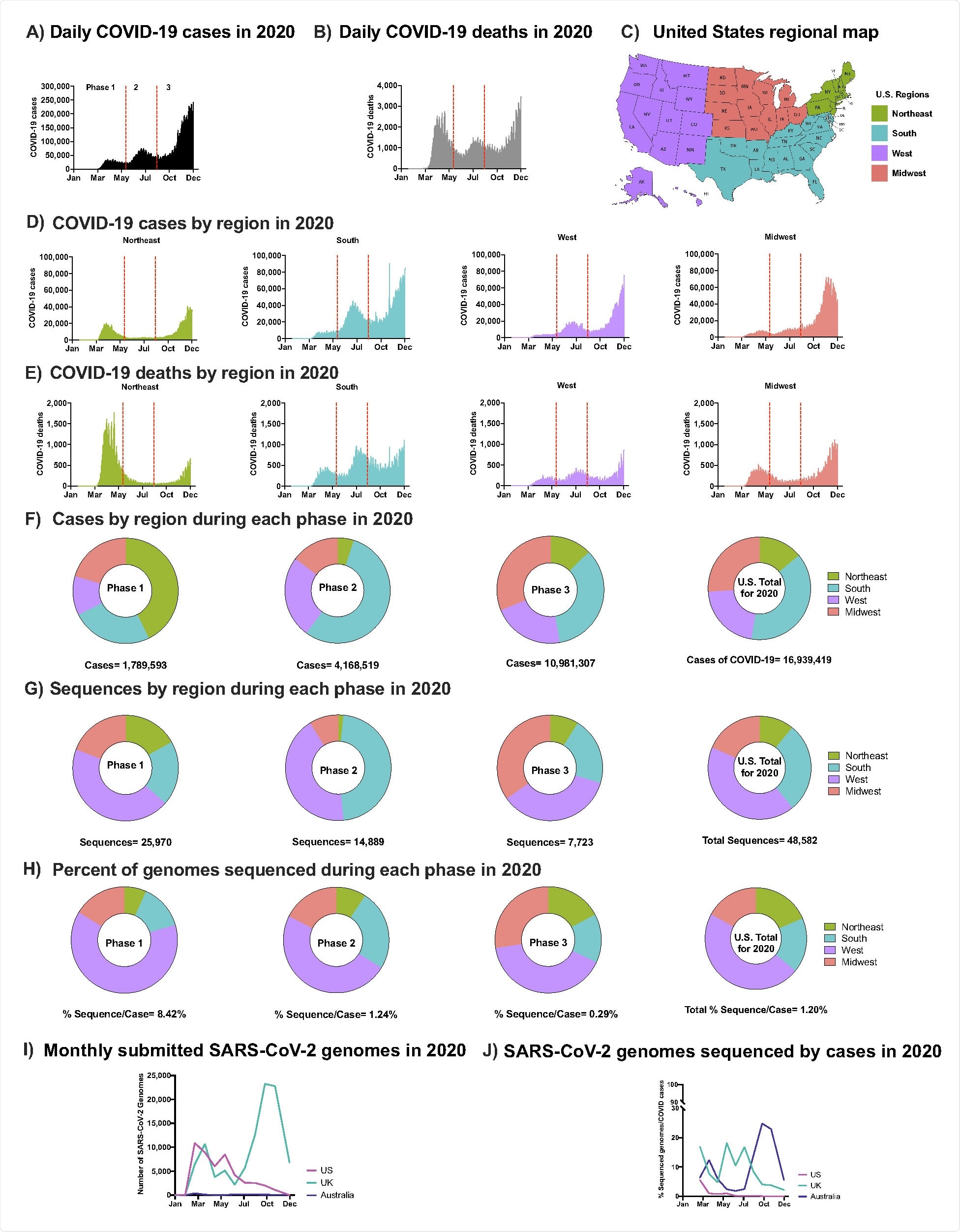 SARS-CoV-2 Epidemic in the U.S. in 2020 (A) Daily COVID-19 cases in the U.S. in 2020 (B) Daily COVID-19 deaths in the U.S. in 2020 (C) U.S. regional map colored by region (D) Number of COVID-19 cases in the U.S. in 2020 by region: Northeast, South, West, Midwest, respectively. (E) Number of COVID-19 deaths in the U.S. in 2020 by region. (A-B & D-E) Separation of Phases is denoted by vertical dotted red lines. Data were smoothed by a moving 3-day average. (F) Proportion of COVID-19 cases by region during each phase and the overall contribution to the U.S. total in 2020. (G) Proportion of SARS-CoV-2 sequences accessed (submission as of December 15th, 2020) by region during each phase and the overall contribution to the U.S. total in 2020 (H) The number of sequneces per case were obtained by each region during each phase and the U.S. total in 2020. (F-H) Highlights Phase 1, 2, and 3, followed with U.S. total of 2020. (I) Total number of sequences submitted to GISAID from the U.K., Australia, and the U.S. by December 15th, 2020. (J) Submitted SARS-CoV-2 genomes normalized to the number of COVID-19 cases from the U.K., Australia, and the U.S.