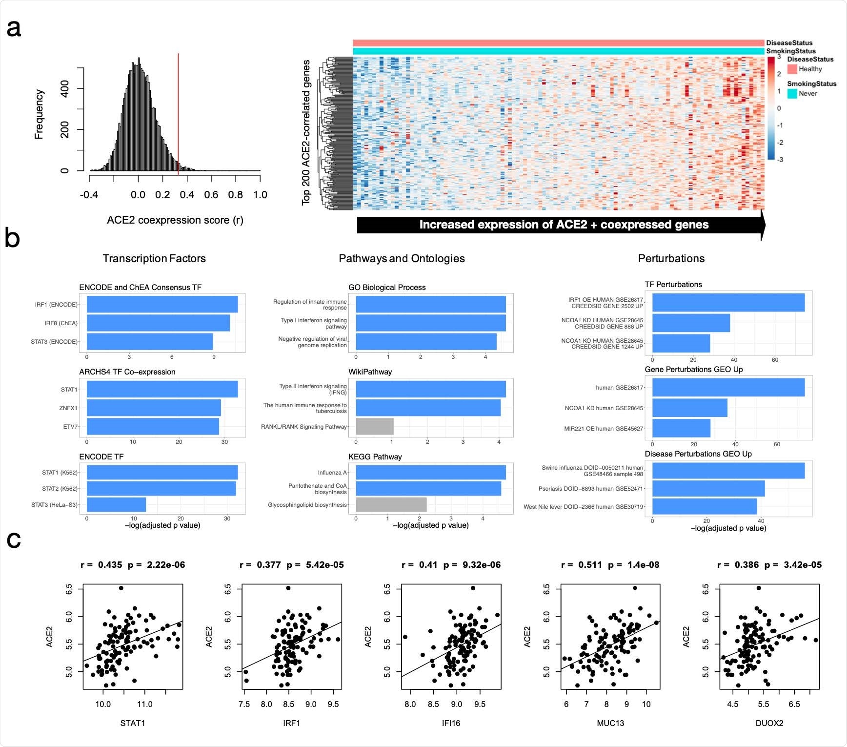 Expression and functional enrichment analysis of ACE2 and co­expressed genes. a) Expression of top 200 ACE2-correlated genes (including ACE2) in healthy, non-smokers (N=109). b) Functional enrichment analysis of top 200 ACE2­correlated genes (including ACE2). Terms are ranked by log2(FDR­adjusted p value) for nine ontologies/groups of interest. c) Pearson correlation of ACE2 with important interferon-related candidate genes found to be co­expressed with ACE2.