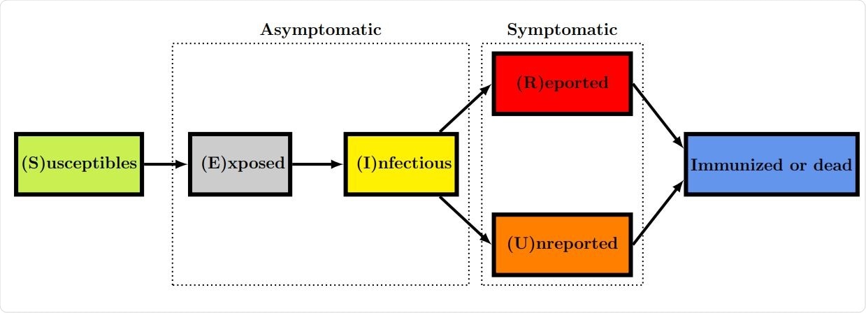 Flow chart for the model.