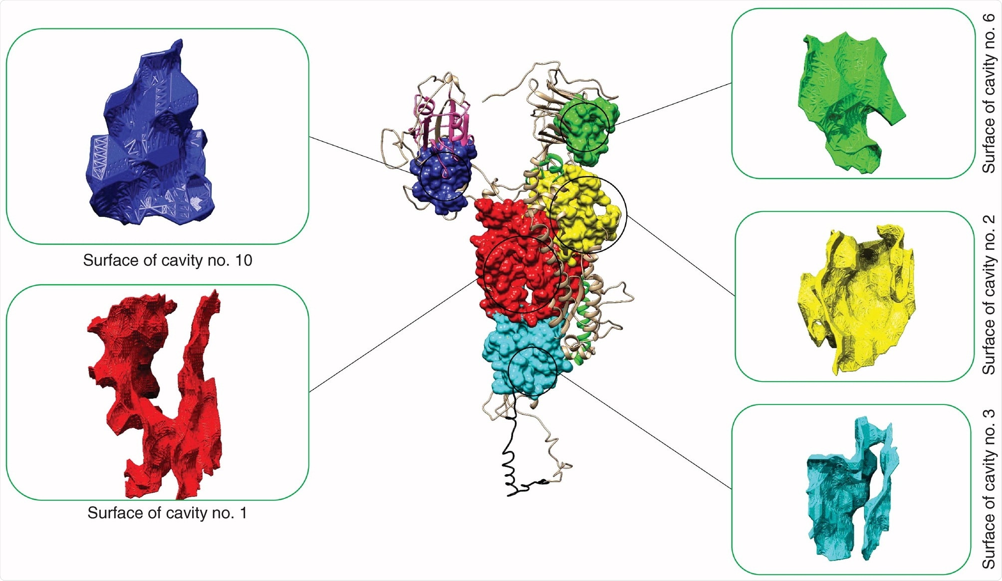 Pockets of SARS-CoV-2 spike protein