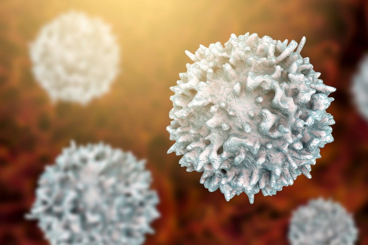 Study: SARS-CoV-2 specific memory B-cells from individuals with diverse disease severities recognize SARS-CoV-2 variants of concern. Image Credit: Kateryna Kon / Shutterstock