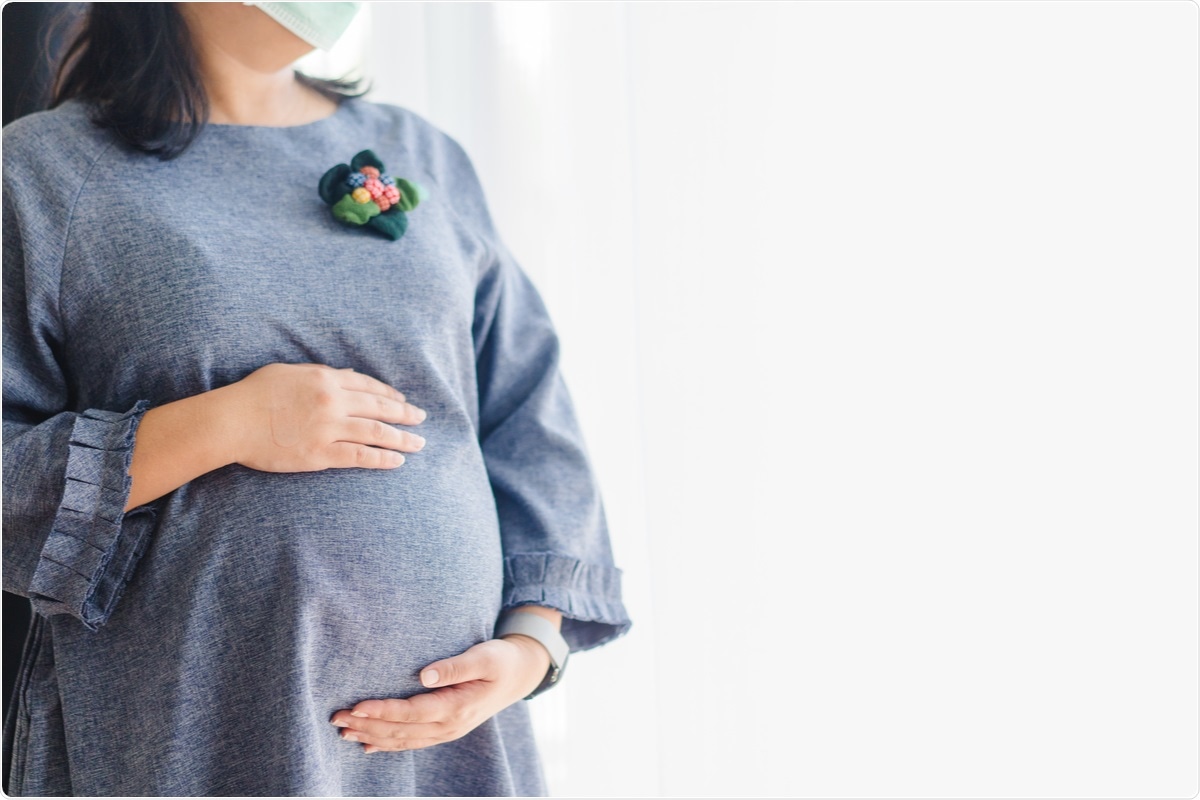 Image Credit: MIA Studio / Shutterstock