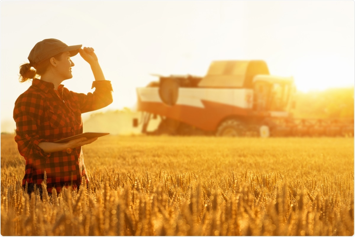 Image Credit: Scharfsinn / Shutterstock