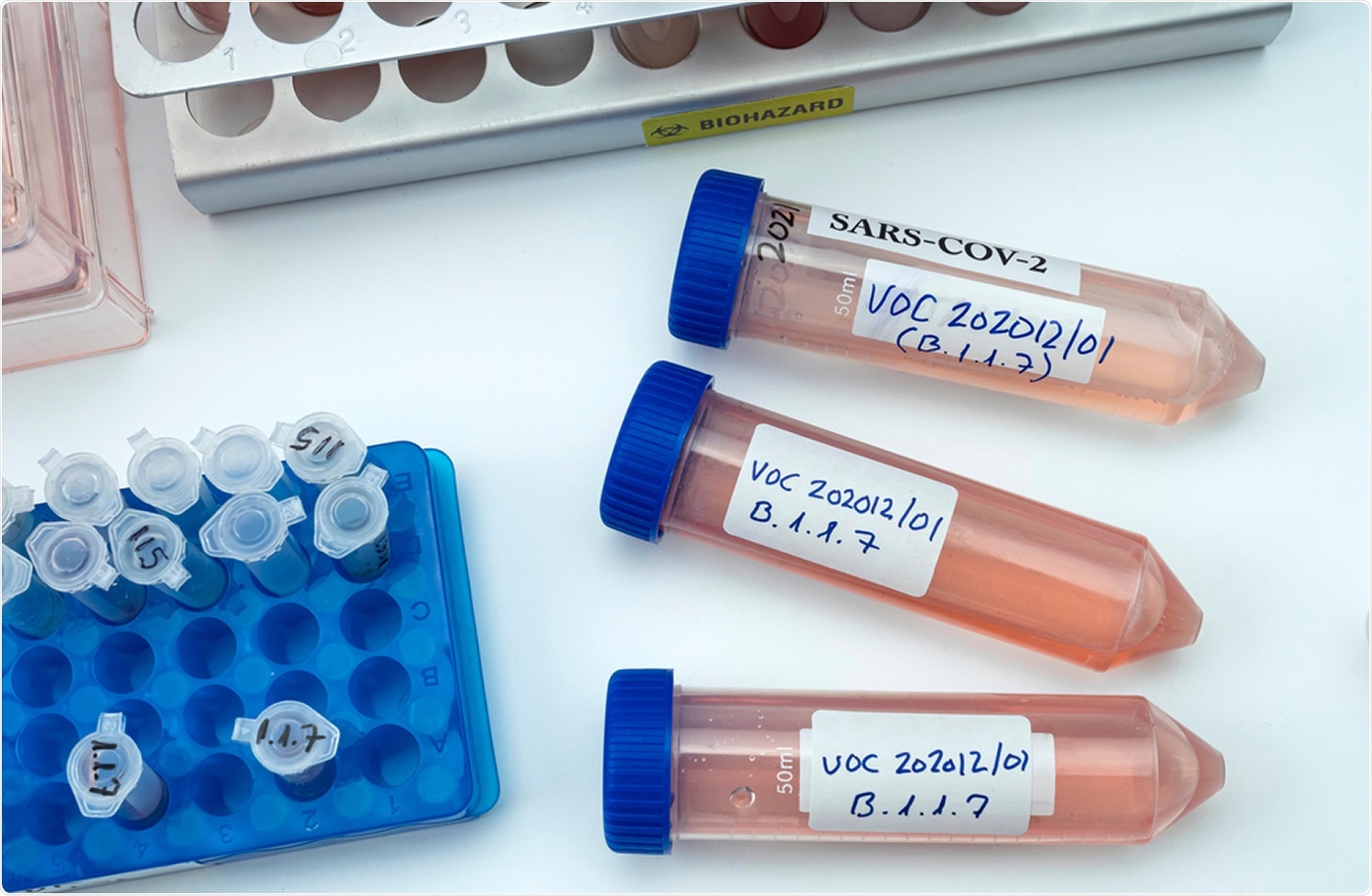 Study: Evolution of enhanced innate immune evasion by the SARS-CoV-2 B.1.1.7 UK variant. Image Credit: Felipe Caparros