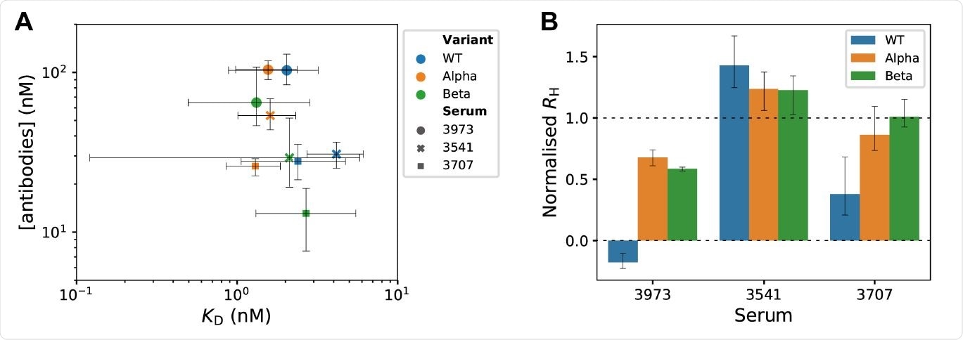 Microfluidic antibody-affinity profiling and in-solution receptor-binding competition assay in SARS-CoV-2 convalescent serum. (A) Equilibrium binding was measured by microfluidic diffusional sizing for various concentrations of fluorescently labeled RBD variants and dilutions of convalescent sera. KD values and antibody concentrations were determined from modes of posterior probability distributions obtained by Bayesian inference18,19. Error bars are 95% credible intervals. (B) In-solution receptor-binding competition assay identifies polyclonal antibodies that displace spike S1 from the ACE2 receptor. At normalized Rh = 0, all S1 was displaced from ACE2, and the measured Rh is the same as for free ACE2. At normalized Rh = 1, S1 was not displaced from ACE2 and the measured Rh is the same as for ACE2/S1 complex. Error bars are standard deviations obtained from triplicate measurements.