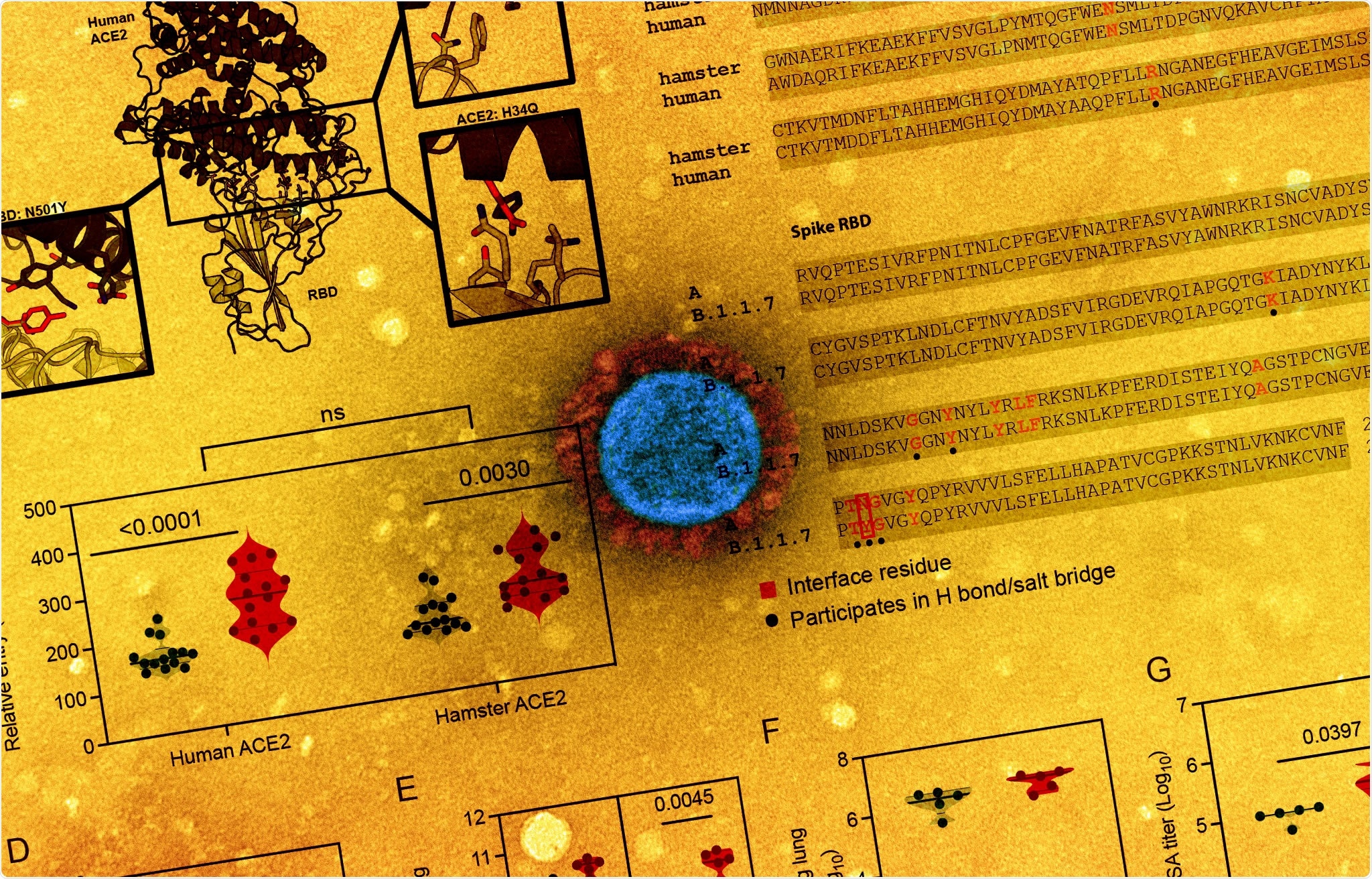Study: Increased aerosol transmission for B.1.1.7 (alpha variant) over lineage A variant of SARS-CoV-2. Image Credit: NIAID