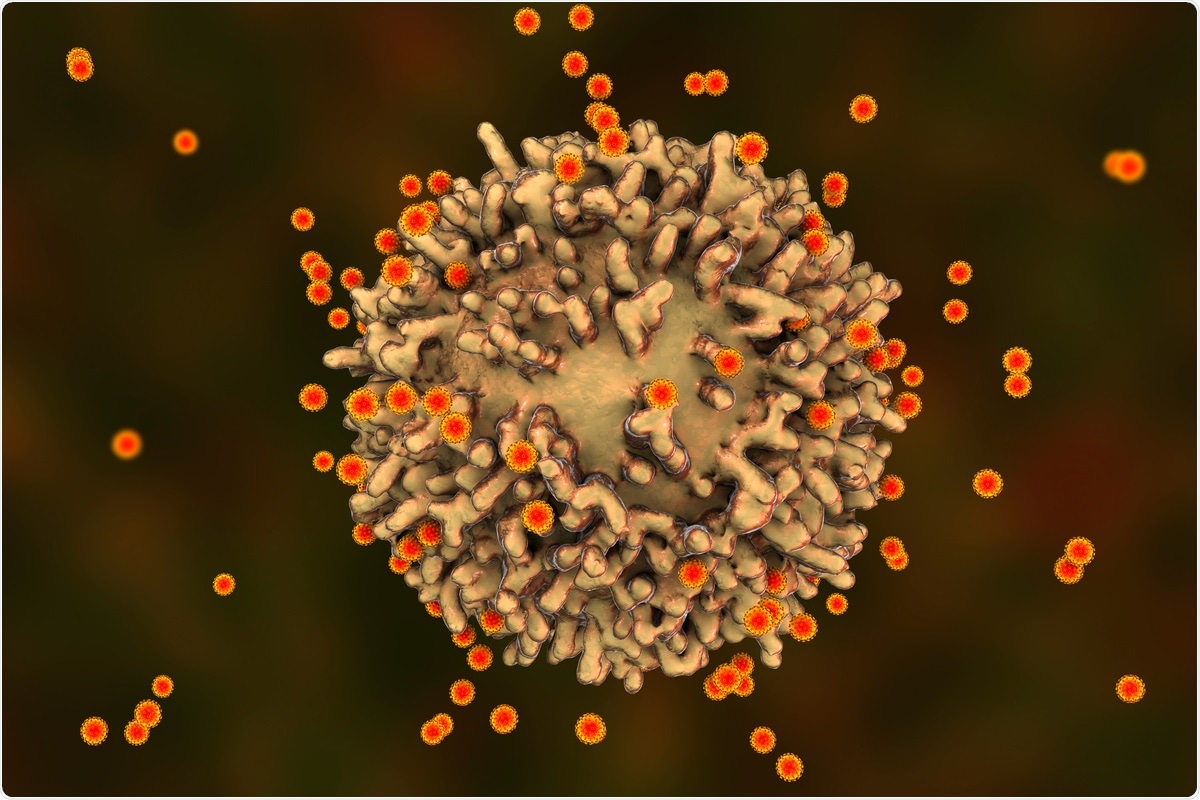 Study: CD8+ T cells specific for conserved coronavirus epitopes correlate with milder disease in COVID-19 patients. Image Credit: Kateryna Kon / Shutterstock