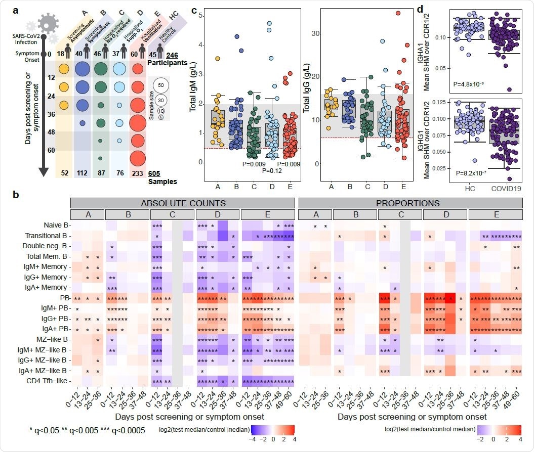 B cells in COVID-­‐19