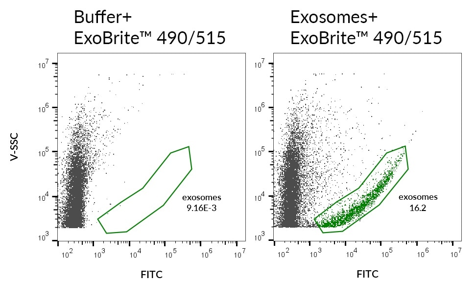 Biotium releases new ExoBrite EV Membrane Staining Kits