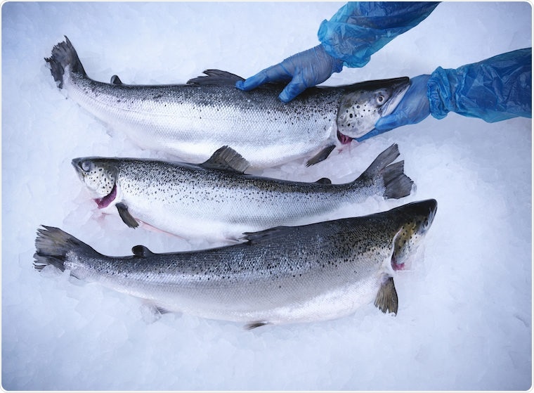 Genetic background linked to elevated risk of omega-3 deficiency in Hispanic Americans