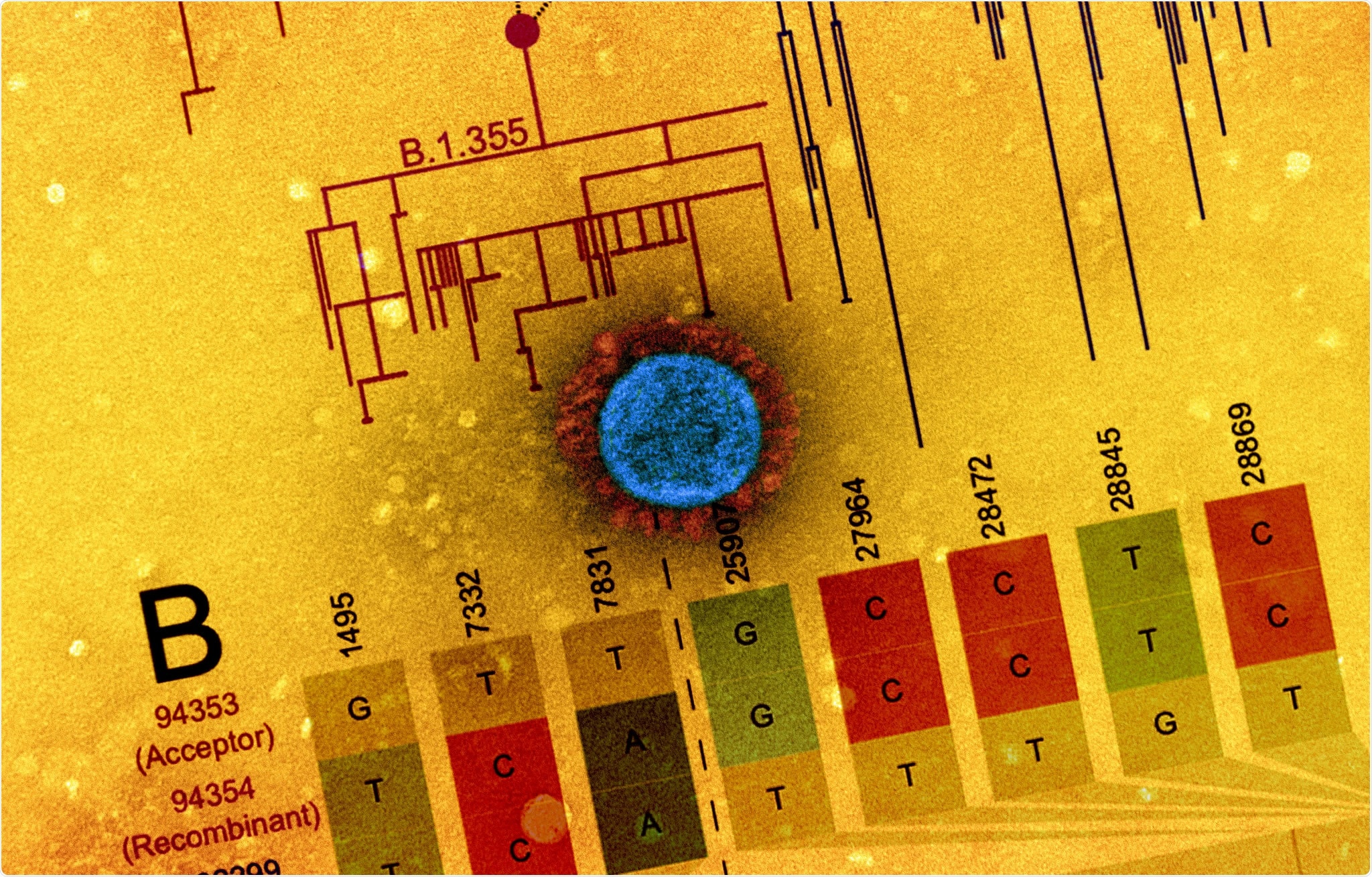 Study: Pandemic-Scale Phylogenomics Reveals Elevated Recombination Rates in the SARS-CoV-2 Spike Region. Image Credit: NIAID