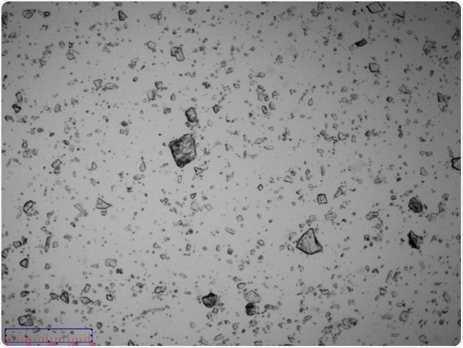 Image of non-micronized particles.