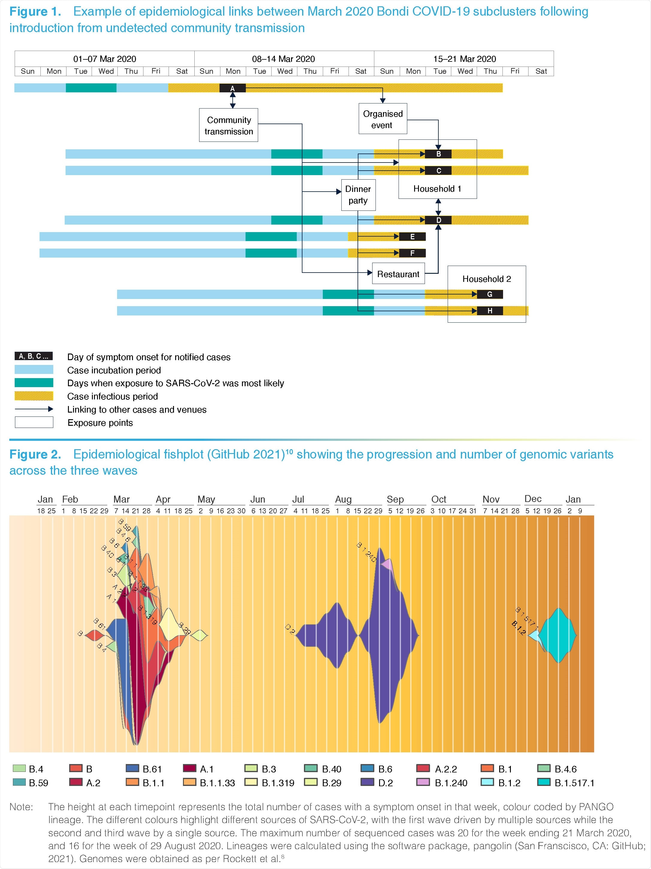 Study: Bondi and beyond. Lessons from three waves of COVID-19 from 2020