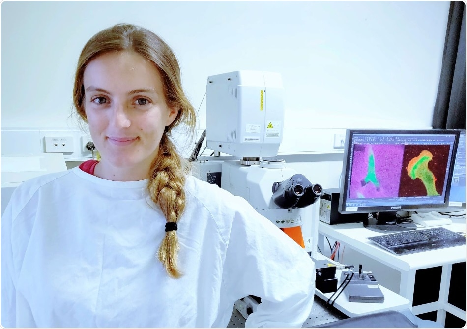 UNSW Sydney scientists discover how tiny anchors help the cells to stay in place