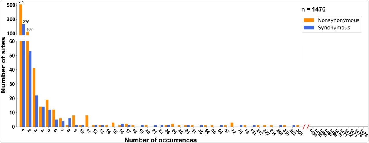 (b) SFSs cross-referenced by the phylogeny and date of sampling (see main text for details). Neither synonymous nor nonsynonymous mutations deviate from the neutral expectation.