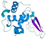 Determining the molecular weight, particle size and zeta potential of bovine serum albumin (BSA)