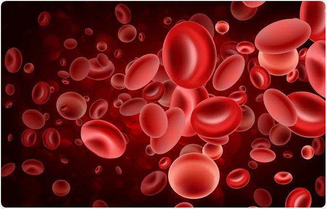 Red Blood Cells
