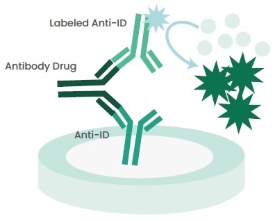 Principle of Anti-ID Capture ELISA.