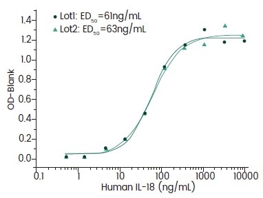 Induce IFN Gamma Secretion.