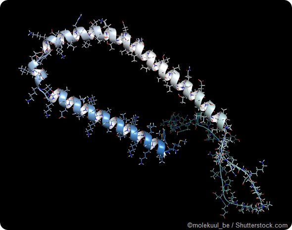 Alpha-synuclein protein