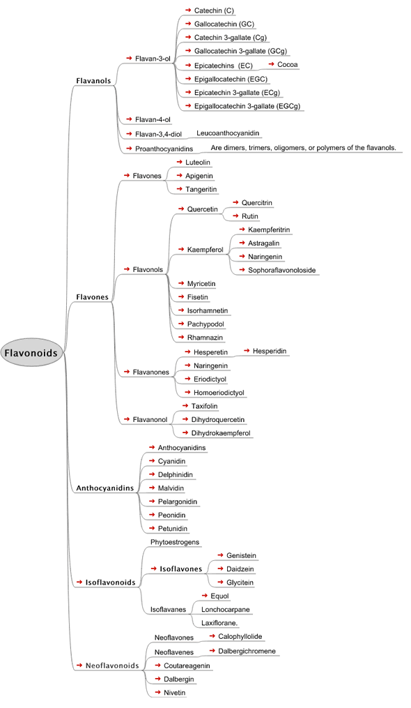 Chocolate flow chart