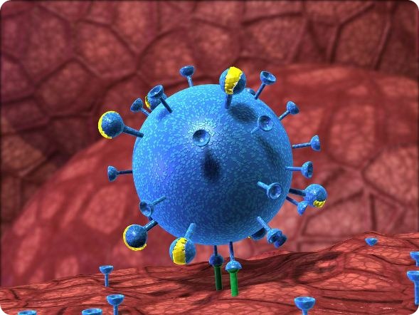 Flu virus