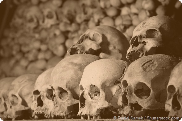 Skulls