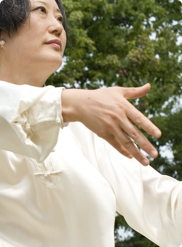 Tai-Chi large Tai-Chi large