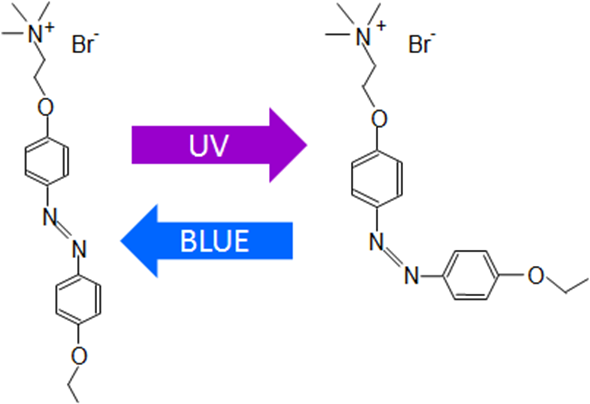 Diagram of the azoTAB isomerization