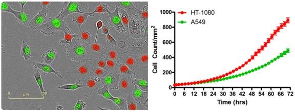 A wide range of co-culture-based assays
