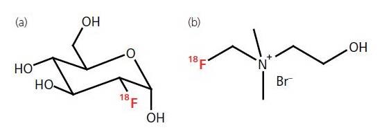 Chemical structures of two PET radiopharmaceuticals. (a) In [18F] FDG, the hydroxyl group at the 2‘ position of normal glucose is substituted by 18F. (b) In [18F] fluorocholine, a [18F] fluoroalkyl group is attached to the nitrogen atom of N,N-dimethylaminoethanol (DMAE).