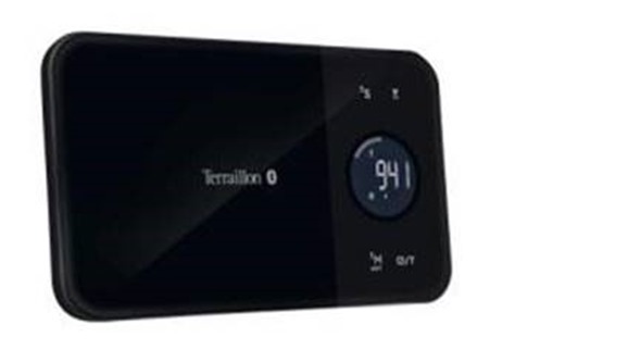 kitchen scale Terraillon