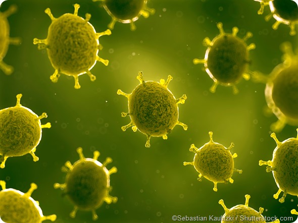 generic virus illustration