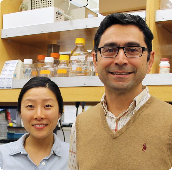 Seung Woo, Ardem Patapoutin