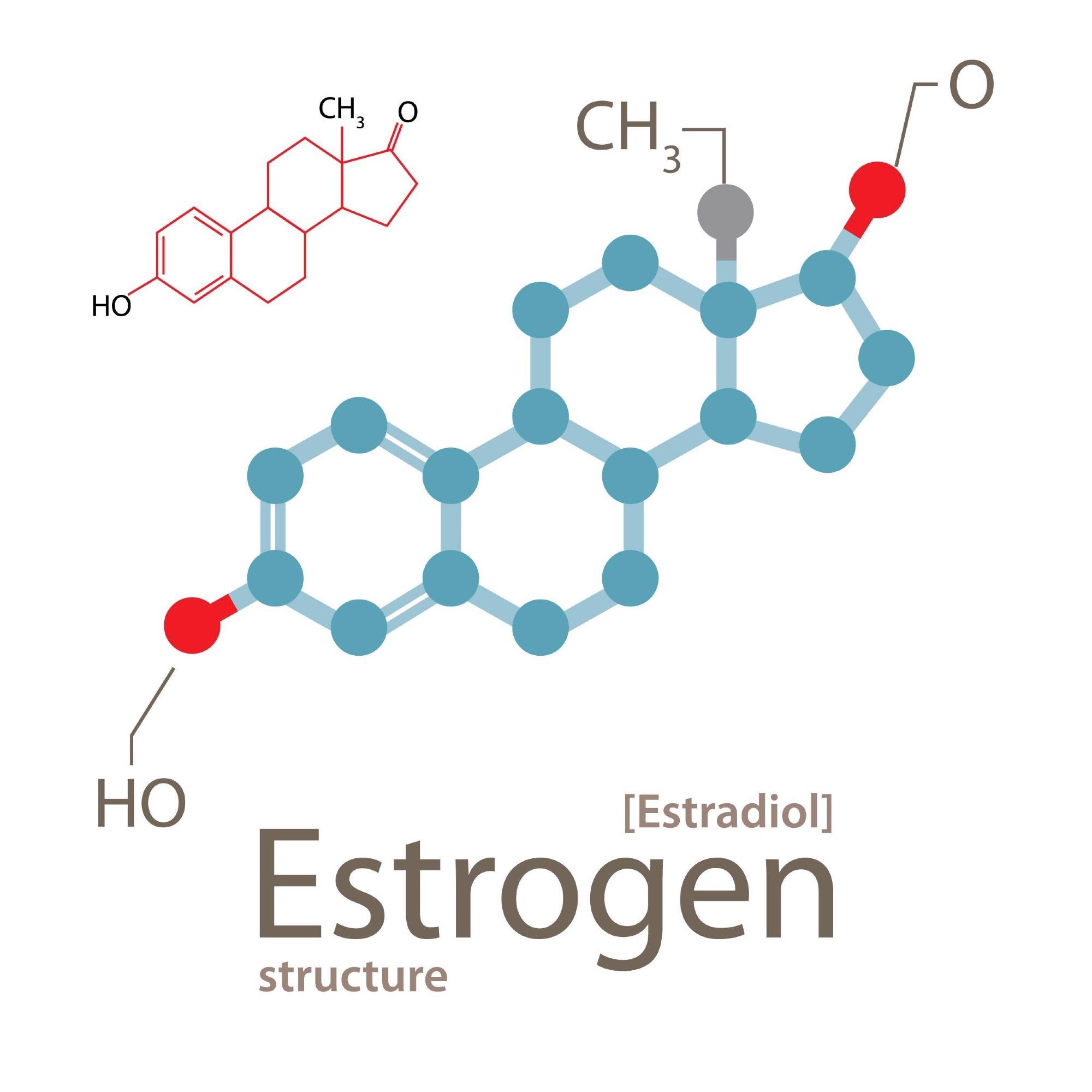Estrogen